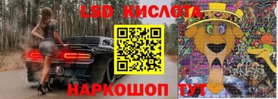 крисы Абакан