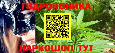 крисы Абакан