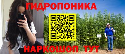 бошки Гагарин