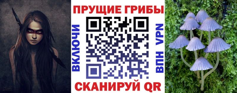 MEGA   Абинск  Псилоцибиновые грибы Cubensis 