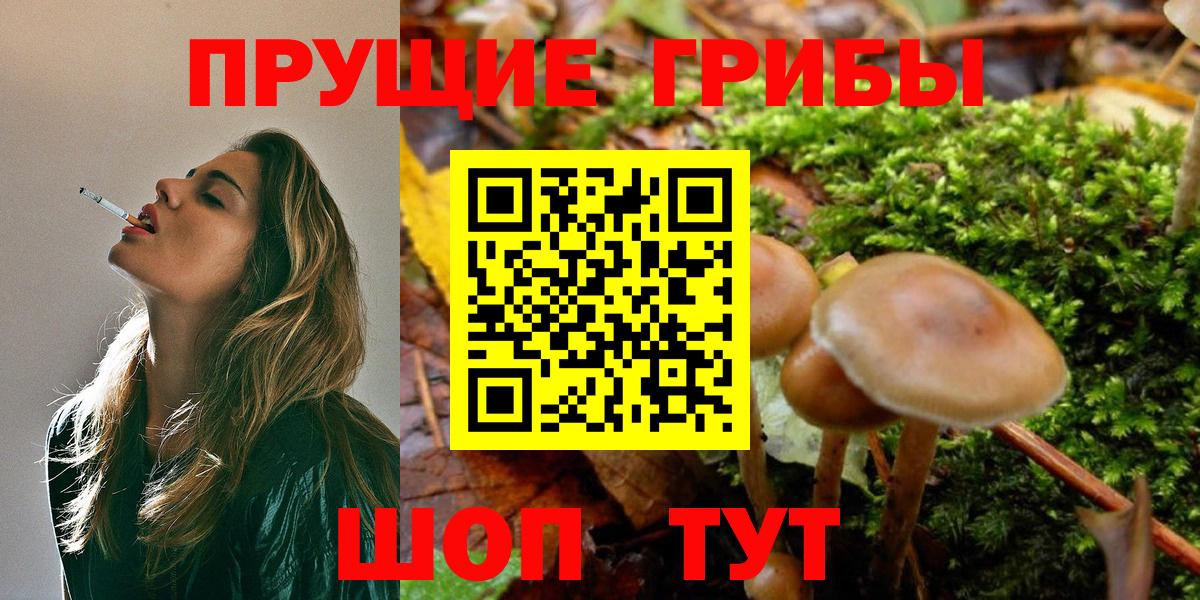 Галлюциногенные грибы MAGIC MUSHROOMS  как найти   Абинск  Галлюциногенные грибы прущие грибы  Вход с VPN 