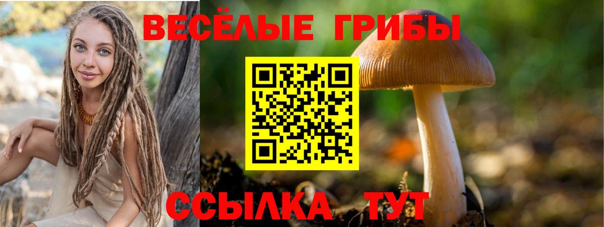 Галлюциногенные грибы мицелий  Псилоцибиновые грибы GOLDEN TEACHER  Абинск 